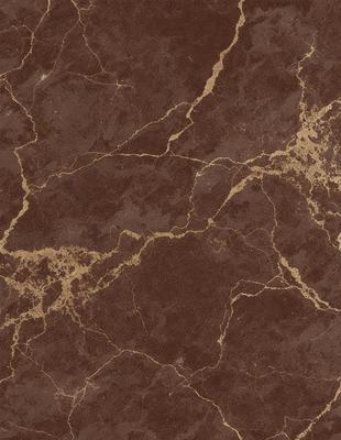 The primary subject of the image is a marble wall with a brown and gold color scheme. The setting is a room with a brown and gold marble wall as the main focus. The visual style is a close-up of the marble wall, showcasing its intricate patterns and textures. The colors and mood of the image are warm and luxurious, evoking a sense of sophistication and elegance.