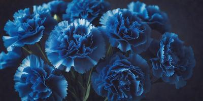 The primary subject of the image is a bouquet of blue flowers. The flowers are arranged in a vase, creating a visually appealing display. The setting is a close-up of the flowers, showcasing their vibrant blue color. The visual style is a realistic representation of the flowers, with no indication of digital art or illustration. The colors and mood of the image are predominantly blue, creating a calm and serene atmosphere.