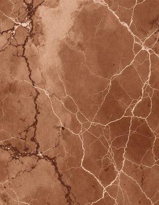 The image features a marbled surface with a brown and white color scheme. The primary subject is the marbled surface, which is the setting and background of the image. The visual style is a close-up of the marbled surface, showcasing its intricate patterns and textures. The colors and mood of the image are warm and earthy, with the brown and white tones creating a natural and organic atmosphere.