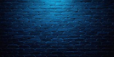 The primary subject of the image is a brick wall. The setting is a dark room with a blue brick wall, which creates a moody atmosphere. The visual style is a photo, and the dominant colors are blue and black.