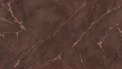 The primary subject of the image is a brown marble tile with a patterned texture. The setting is a wall, and the visual style is a close-up of the tile. The colors and mood of the image are warm and earthy, with the brown marble tile being the dominant color.