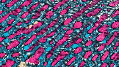 The primary subject of the image is a patterned surface with a blue and pink color scheme. The setting appears to be a wall or a piece of fabric with a design that resembles a painting or a digital artwork. The visual style suggests that the image is a digital artwork or a patterned fabric. The dominant colors in the image are blue and pink, creating a vibrant and lively atmosphere.