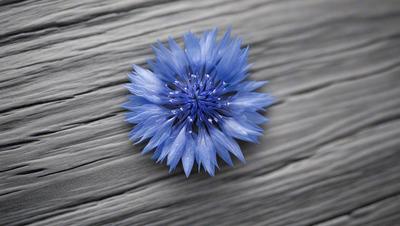 The primary subject of the image is a blue flower with a white center, which is placed on a wooden surface. The setting appears to be a table or a similar surface, providing a contrasting background for the flower. The visual style of the image is a close-up of the flower, showcasing its details and colors. The dominant colors in the image are blue and white, creating a calm and serene atmosphere.