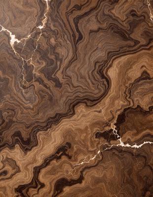 The primary subject of the image is a close-up of a marble surface with a unique and intricate pattern. The setting is a natural environment, possibly a stone or rock formation. The visual style is a close-up of the marble, showcasing its texture and patterns. The colors and mood of the image are predominantly earthy tones, giving it a natural and organic feel.