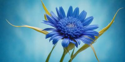 The primary subject of the image is a blue flower with a yellow stalk, which is the main focus of the image. The setting is a blue background, which creates a contrasting and visually appealing environment. The visual style of the image is a close-up of the flower, showcasing its details and beauty. The dominant colors in the image are blue and yellow, creating a calm and serene atmosphere.