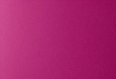 The primary subject of the image is a large, pink wall. The setting is a room with a pink background, and the visual style is a close-up of the wall. The dominant colors in the image are pink, and the overall atmosphere is bright and vibrant.