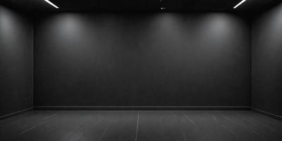 The primary subject of the image is a large, empty room with a black wall. The setting is a dark room with a single light source, creating a moody atmosphere. The visual style is a black and white photo, which adds to the dramatic and artistic feel of the scene. The colors and mood of the image are predominantly dark, with the black wall and the single light source creating a sense of mystery and intrigue.