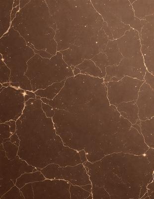 The primary subject of the image is a marble wall with a brown and white color scheme. The setting is a room with a brown background. The visual style is a close-up of the marble wall, showcasing its texture and patterns. The colors and mood of the image are warm and earthy, with the marble wall serving as a focal point.