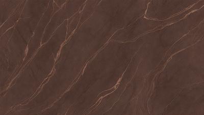 The primary subject of the image is a close-up of a brown marble tile. The setting is a wall with a patterned texture, giving the appearance of a wood grain. The visual style is a photo, showcasing the intricate details of the marble tile. The colors and mood of the image are warm and natural, with the brown marble tile being the main focus.