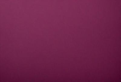 The primary subject of the image is a large, purple wall. The setting is a room with a purple background, which creates a unique and striking visual effect. The visual style of the image is a close-up of the purple wall, emphasizing its color and texture. The dominant colors in the image are purple, which creates a calm and soothing atmosphere.