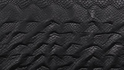 The primary subject of the image is a close-up of a black leather surface. The setting is a black background, and the visual style appears to be a photo. The colors and mood of the image are predominantly dark and moody, with the black leather creating a striking contrast against the black background.