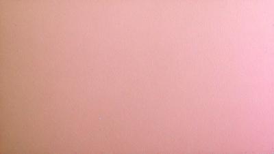 The primary subject of the image is a large, pink wall. The setting is a room with a pink background, and the visual style is a close-up of the wall. The colors and mood of the image are predominantly pink, creating a warm and inviting atmosphere.