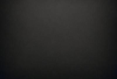 The primary subject of the image is a black background. The setting is a dark, empty space with no visible objects or details. The visual style is a black and white photo, which gives the image a classic and timeless appearance. The colors and mood are predominantly dark and moody, creating a sense of mystery and depth.