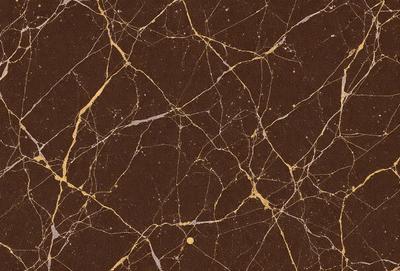 The primary subject of the image is a marble wall with a gold-colored pattern. The setting is a room with a brown color scheme. The visual style is a close-up of the marble wall, showcasing the intricate gold pattern. The colors and mood of the image are warm and elegant, with the gold pattern adding a touch of luxury to the marble wall.