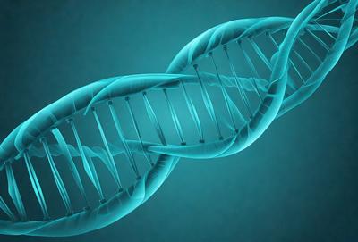 The primary subject of the image is a blue DNA strand, which is the main focus of the image. The setting is a blue background, which provides a contrasting and visually appealing environment for the DNA strand. The visual style of the image is a digital art or illustration, as it is a detailed and intricate representation of the DNA structure. The dominant colors in the image are blue and white, creating a calm and scientific atmosphere.