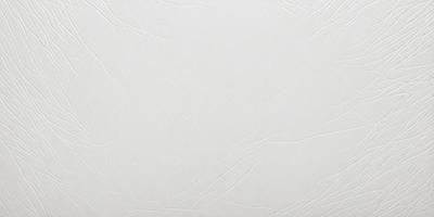 The primary subject of the image is a white sheet of paper. The setting is a plain white background, and the visual style is a photo. The colors are predominantly white, giving the image a clean and minimalist appearance. The mood of the image is calm and uncluttered, with no distractions or intrusions.