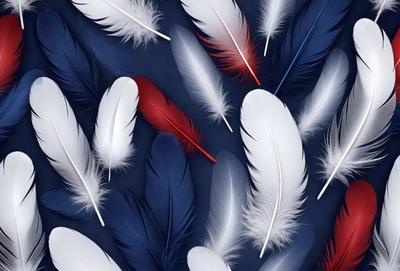 The primary subject of the image is a collection of white and red feathers. The feathers are arranged in a pattern, creating a visually appealing and colorful display. The setting is a blue background, which contrasts nicely with the white and red feathers. The visual style of the image is a combination of photo and digital art, as it appears to be a close-up of the feathers, yet the arrangement and colors are consistent with a digital artwork. The dominant colors in the image are white, red, and blue, creating a vibrant and lively atmosphere.