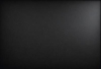 The image is a black and white photo of a dark background. The primary subject is a large, empty space with no visible objects or details. The setting is a black background, which creates a stark contrast with the subject. The visual style is a black and white photo, giving the image a classic and timeless appearance. The colors and mood are predominantly dark and moody, with the black background emphasizing the emptiness of the space.