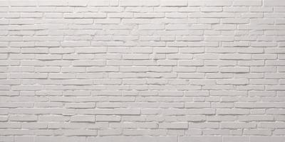 The primary subject of the image is a white brick wall. The setting is a plain white wall, with no visible backdrop or environment. The visual style is a photo, showcasing the brick wall in detail. The colors and mood of the image are predominantly white, giving it a clean and minimalist appearance.