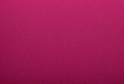 The primary subject of the image is a large, pink surface. The setting is a close-up of the pink background, which appears to be a wall or a piece of fabric. The visual style is a close-up of the pink surface, which gives the image a vibrant and bold appearance. The colors and mood of the image are predominantly pink, creating a warm and inviting atmosphere.