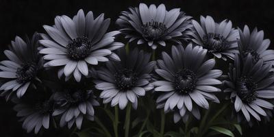 The primary subject of the image is a group of black flowers. They are the main focus of the image, and they are displayed in a dark setting. The visual style of the image is a black and white photo, which adds a dramatic and artistic touch to the scene. The dominant colors in the image are black and white, creating a moody and dramatic atmosphere.