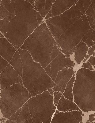 The image features a brown marble-like surface with a pattern of white and brown spots. The setting appears to be a bathroom, as the marble-like surface is likely a countertop or a wall. The visual style of the image is a close-up of the marble-like surface, showcasing its unique pattern and texture. The colors in the image are predominantly brown and white, giving the scene a warm and natural atmosphere.