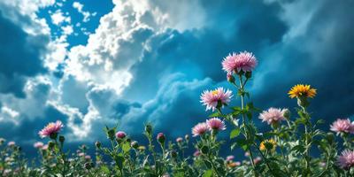 The primary subject of the image is a field of flowers, with a focus on a group of pink flowers. The setting is a cloudy blue sky, creating a serene and natural atmosphere. The visual style is a photo, capturing the beauty of the flowers and their surroundings. The colors and mood of the image are predominantly blue and pink, evoking a sense of calmness and tranquility.