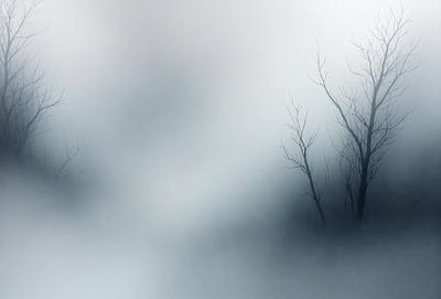 The primary subject of the image is a tree with no leaves, standing in a foggy, misty forest. The setting is a foggy, misty environment, and the visual style appears to be a photo. The colors and mood of the image are predominantly dark and moody, with the fog and mist creating a mysterious atmosphere.