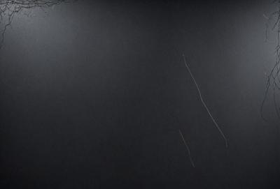 The primary subject of the image is a long, thin, white line that is stretched across the black background. The setting appears to be a dark, foggy environment, with the line being the main focus of the image. The visual style is a black and white photo, which adds a sense of depth and contrast to the scene. The overall atmosphere of the image is mysterious and somewhat eerie, as the long white line stands out against the dark background.