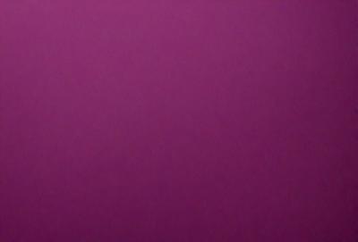 The primary subject of the image is a purple wall. The setting is a room with a purple background. The visual style is a close-up of the purple wall, which gives a sense of depth and texture. The colors and mood of the image are predominantly purple, creating a calm and serene atmosphere.