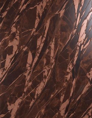The primary subject of the image is a close-up of a marble wall with a brown and red color scheme. The setting is a room with a brown and red marble wall, which serves as the background. The visual style is a close-up of the marble wall, showcasing its texture and pattern. The colors and mood of the image are warm and earthy, with the brown and red hues creating a sense of luxury and sophistication.