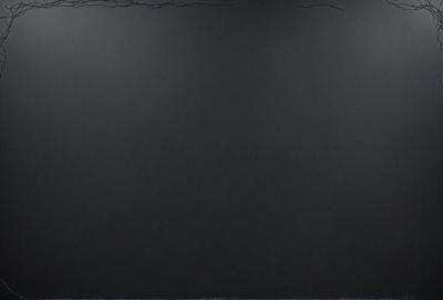 The primary subject of the image is a black background with a white border. The setting is a dark room, and the visual style is a black and white photo. The colors and mood of the image are predominantly dark and moody, with the black background and white border creating a stark contrast.