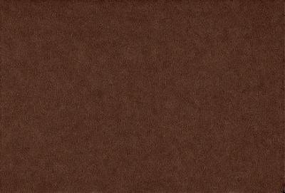 The primary subject of the image is a brown surface, which appears to be a piece of fabric or a wall. The setting is a room with a brown background, and the visual style is a close-up of the brown surface. The colors and mood of the image are predominantly brown, giving it a warm and earthy atmosphere.