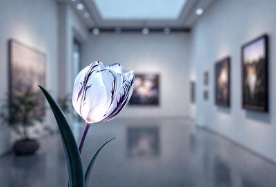 The primary subject of the image is a single purple flower, which is placed in a vase. The setting is a room with a white wall, and the visual style appears to be a photo. The dominant colors in the image are purple and white, creating a calm and serene atmosphere.