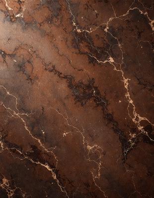 The primary subject of the image is a marble surface with a brown and black color scheme. The setting is a room with a brown and black marble wall, which adds a sense of luxury and sophistication to the space. The visual style of the image is a close-up of the marble surface, showcasing its intricate patterns and textures. The colors and mood of the image are warm and elegant, creating a sense of refinement and elegance.