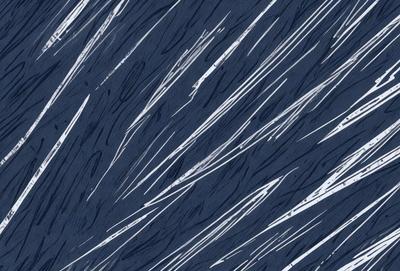 The primary subject of the image is a blue and white patterned surface, which appears to be a textured wall or a piece of artwork. The setting is indoors, with the patterned surface being the main focus of the image. The visual style is a combination of digital art and illustration, creating a unique and eye-catching design. The colors and mood of the image are predominantly blue and white, with a slightly textured and artistic feel.