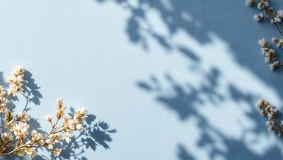 The primary subject of the image is a flower, which is the main object, scene, or focus of the image. The setting or background consists of a blue wall, and the visual style appears to be a photo. The dominant colors in the image are blue and white, creating a calm and serene atmosphere.