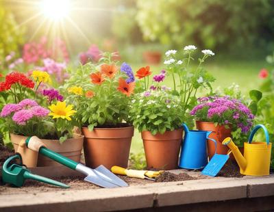 The primary subject of the image is a variety of colorful flowers in pots, placed on a patio. The setting is an outdoor space with a garden-like atmosphere. The visual style is a photo, capturing the vibrant colors and details of the flowers. The colors and mood of the image are lively and cheerful, with the flowers adding a touch of natural beauty to the scene.