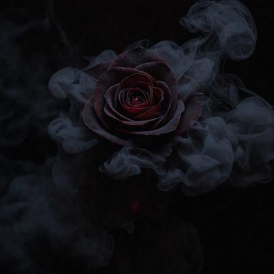 The primary subject of the image is a single red rose. The rose is surrounded by a dense fog, giving the scene a mysterious and dramatic atmosphere. The setting appears to be a dark, foggy environment, which adds to the overall mood of the image. The visual style of the image is a close-up of the rose, emphasizing its beauty and the intricate details of its petals.