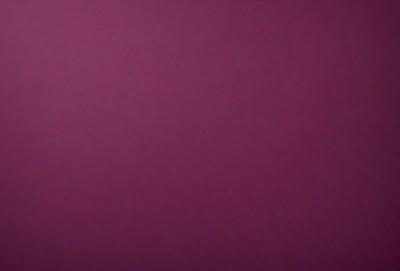 The primary subject of the image is a large, purple wall. The setting is a room with a purple background, and the visual style is a close-up of the wall. The colors and mood of the image are predominantly purple, creating a calm and serene atmosphere.