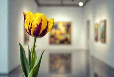 The primary subject of the image is a single yellow flower, which is prominently displayed in the foreground. The setting is a white room with a mirrored surface, which adds depth and interest to the scene. The visual style of the image is a combination of photo and digital art, creating a unique and eye-catching composition. The dominant colors in the image are yellow and white, giving the scene a bright and cheerful atmosphere.