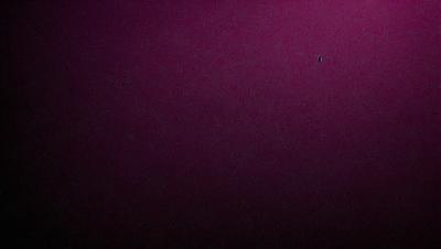 The image is a close-up of a purple background, which appears to be a wall or a piece of fabric. The purple color dominates the scene, creating a calm and serene atmosphere. The background is the primary subject of the image, with no other objects or elements visible.