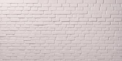 The primary subject of the image is a white brick wall. The setting is a plain white wall, with no visible background or environment. The visual style is a photo, showcasing the brick wall in detail. The colors and mood of the image are predominantly white, giving it a clean and minimalist appearance.