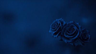 The primary subject of the image is a pair of blue roses. The setting is a dark blue background, which creates a dramatic and moody atmosphere. The visual style is a close-up of the roses, emphasizing their vibrant color and intricate details. The overall mood of the image is one of elegance and sophistication, as the blue roses stand out against the rich blue background.