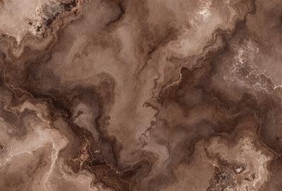 The image features a brown and tan marbled surface, possibly a piece of wood or a stone. The surface has a unique and intricate pattern, giving it a natural and textured appearance. The primary subject of the image is the marbled surface, which serves as the main focus of the image. The setting or background is the marbled surface itself, and the visual style is a close-up of the marbled surface, showcasing its intricate pattern. The colors and mood of the image are warm and earthy, with the brown and tan tones creating a sense of natural beauty and richness.