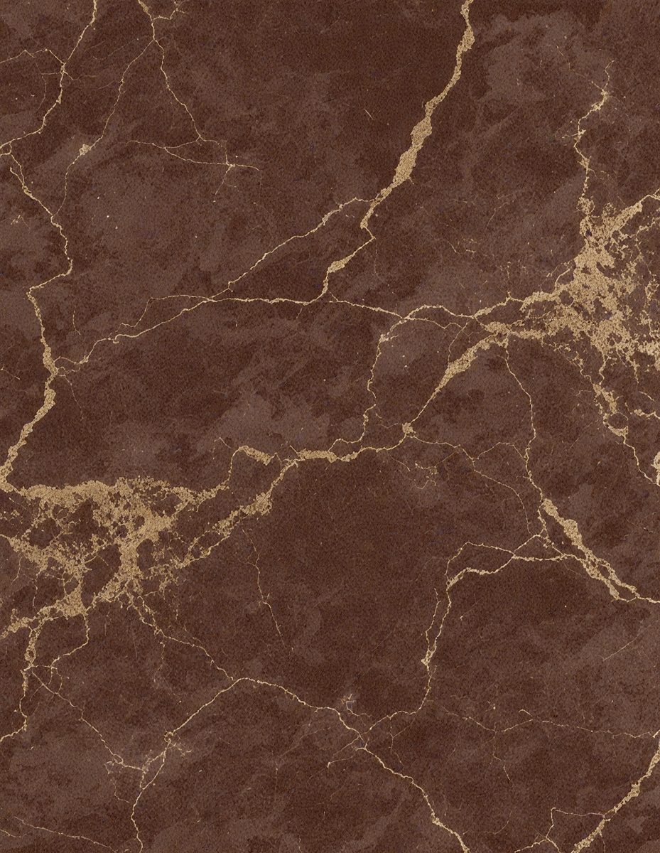 The primary subject of the image is a marble wall with a brown and gold color scheme. The setting is a room with a brown and gold marble wall as the main focus. The visual style is a close-up of the marble wall, showcasing its intricate patterns and textures. The colors and mood of the image are warm and luxurious, evoking a sense of sophistication and elegance.