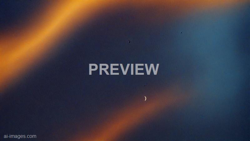 freepik__dark-blue-orange-and-yellow-summer-colors-gradient__42478_250930003620_00001