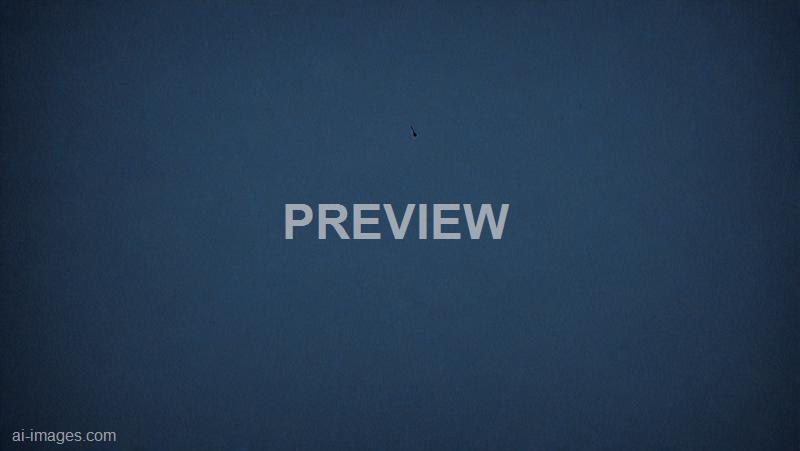 freepik__dark-blue-paper-with-small-pattern-background__41996_250930004641_00001