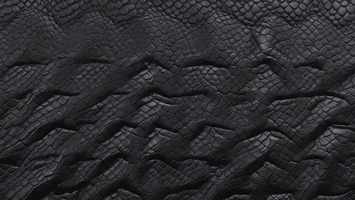 06046efb-b226-4964-a5f4-380866c10951-freepik__black-snake-skin-cell-artificial-leather-with-wave__98959_250525025656_00001.png