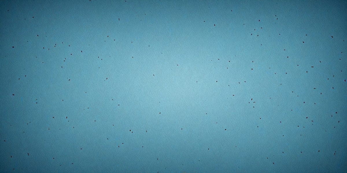 065665f6-63b8-483e-af39-e1a5ba7cbb4e-freepik__abstract-dust-blue-background-seamless-loop-video__57159_250524102031_00001.png